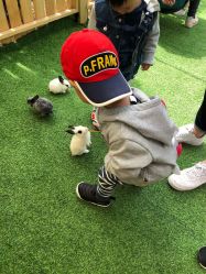 -萌宠亲子动物乐园(槐房万达店)