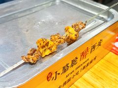 -福苗小骆驼烧烤(莲湖路店)