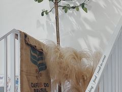 -隹木咖啡馆(宝龙广场店)