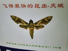 -上海昆虫博物馆