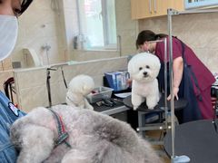 -美联众合动物医院·24h京西诊疗中心