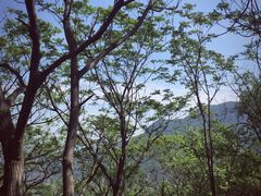 -白草畔自然风景区