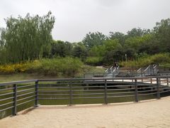 -大兴滨河森林公园