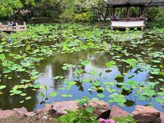 -上海醉白池公园