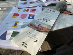 -the rug 飞毯 (朝阳公园店)