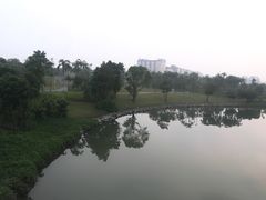 -宝安西湾红树林湿地公园