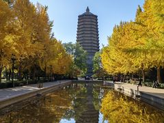 -玲珑塔公园