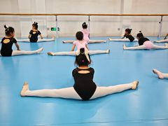 -西安小天鹅艺术团(曲江Alice店)