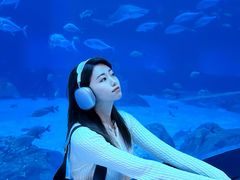 -南昌融创海世界