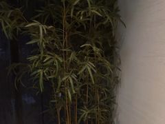 -上足·影院足道·SPA(红岭店)