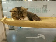 -小时光咖啡馆(开森度假森林店)