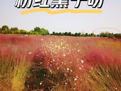 -汉长安城未央宫国家考古遗址公园