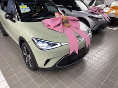 -上海浦东smart汽车全功能店(金桥店)