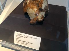 -北京周口店北京人遗址博物馆