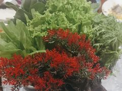 -和院老火锅铜锅烧烤海鲜(朱雀大街店)