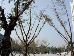 -河南财经政法大学(郑东校区)