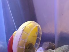 -宠爱我(南山店)