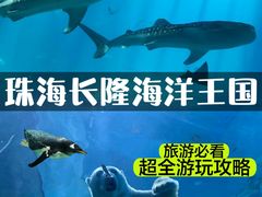 -珠海长隆海洋王国