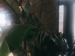 -陈熹公民族美食文化餐厅(中华广场店)