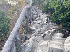 -梧桐山风景名胜区