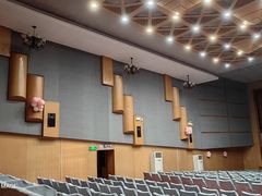 -庐山恋影院(河西路店)