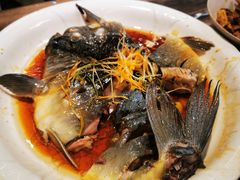 -马帮菜馆·美味野生菌