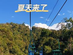 -野象谷景区