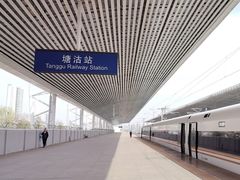 -塘沽站