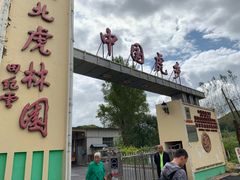 -横道河子东北虎林园