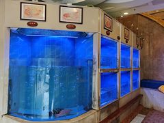 -阿一鲍鱼·20年匠心传承(天河北旗舰店)
