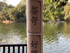 -荔湾湖公园