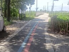 -小陆莲花蟹园农家乐(莲花岛店)