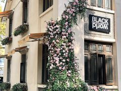 -也枫·小黄楼(南山路旗舰店)