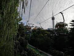 -富斯特索道