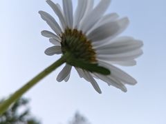 -唐城墙遗址公园