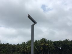 -万绿园