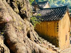 -杨家堂村