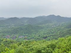 -灵顺寺