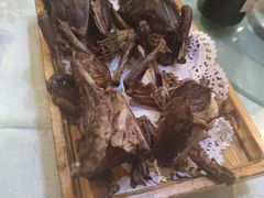 -食家鸽园