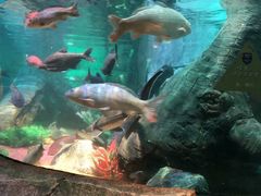 -沈阳海洋探索中心