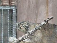 -青藏高原野生动物园