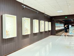 -青岛贝壳博物馆