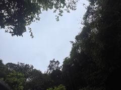 -海口火山口国家地质公园