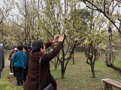 -长兴太湖图影湿地文化园