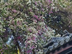 -深圳国际园林花卉博览园