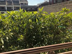 -苏州吴宫泛太平洋酒店