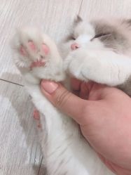 -Beauty Nails 美甲美睫皮肤管理