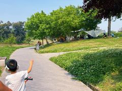 -两河城市森林公园