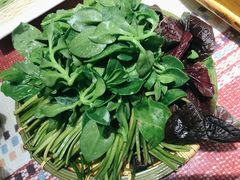 慢丽江菜园子-慢丽江·云南野生菌土鸡锅(付家庄店)