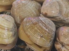 -丹东丛炟海鲜烧烤(江艺路店)